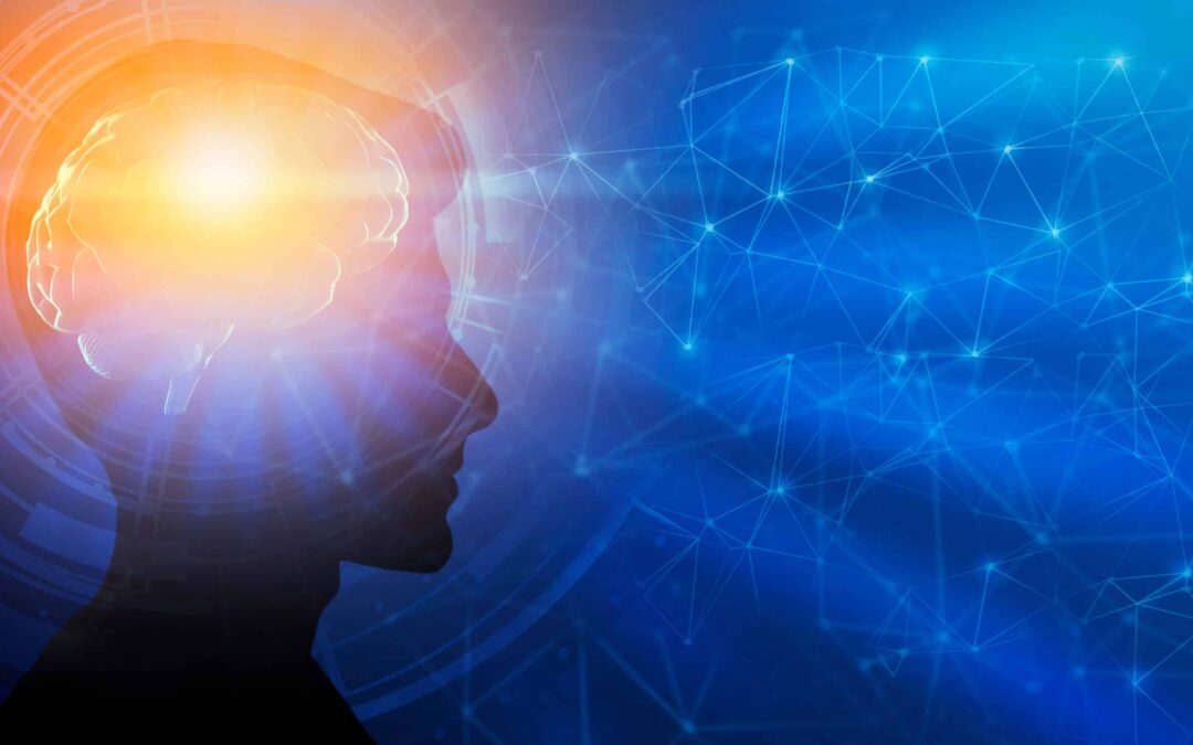 Inside the Mindset of a Successful Student: Key Traits and Strategies